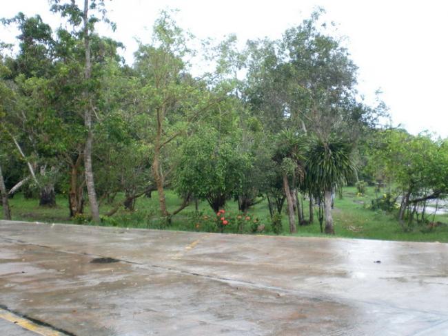 SANY7440.jpg